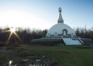 peace pagoda 3