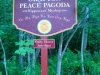 rachel-pagoda-1