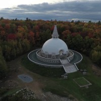 grafton peace pagoda